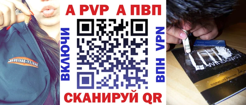 omg tor  Каменногорск  Альфа ПВП СК КРИС 