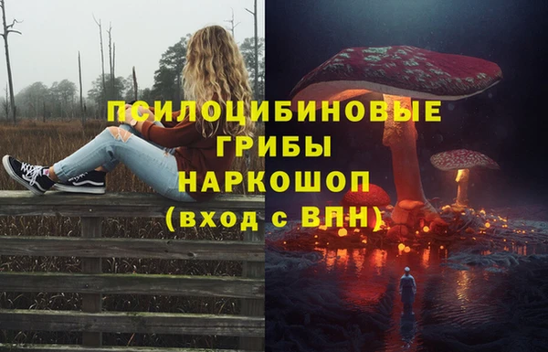 PSILOCYBIN Алексеевка