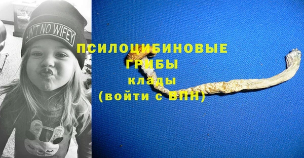 PSILOCYBIN Алексеевка