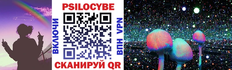 Псилоцибиновые грибы мицелий Каменногорск